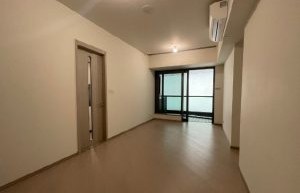 香港一手新房，启德跑道区维港1号连续沽出三套住宅