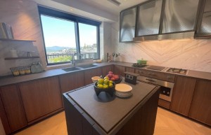 香港大埔楼盘「林海山城」共262伙住宅及花园洋房