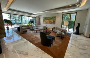 薄扶林超级洋房Mont Pokfulam10分钟到达中环