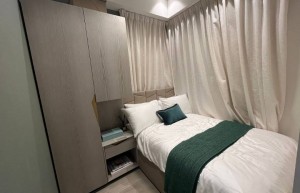 白石角科学园，临海超级笋货