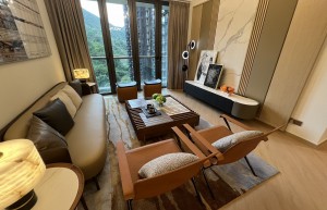 香港PARK SEASONS全新2B座首推70伙，折实呎价1.39万元起