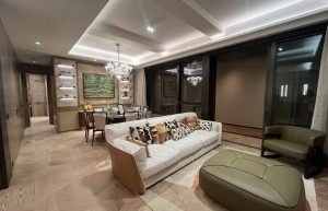 香港港岛区西半山楼盘the MVP楼盘简介、户型单位、区域位置